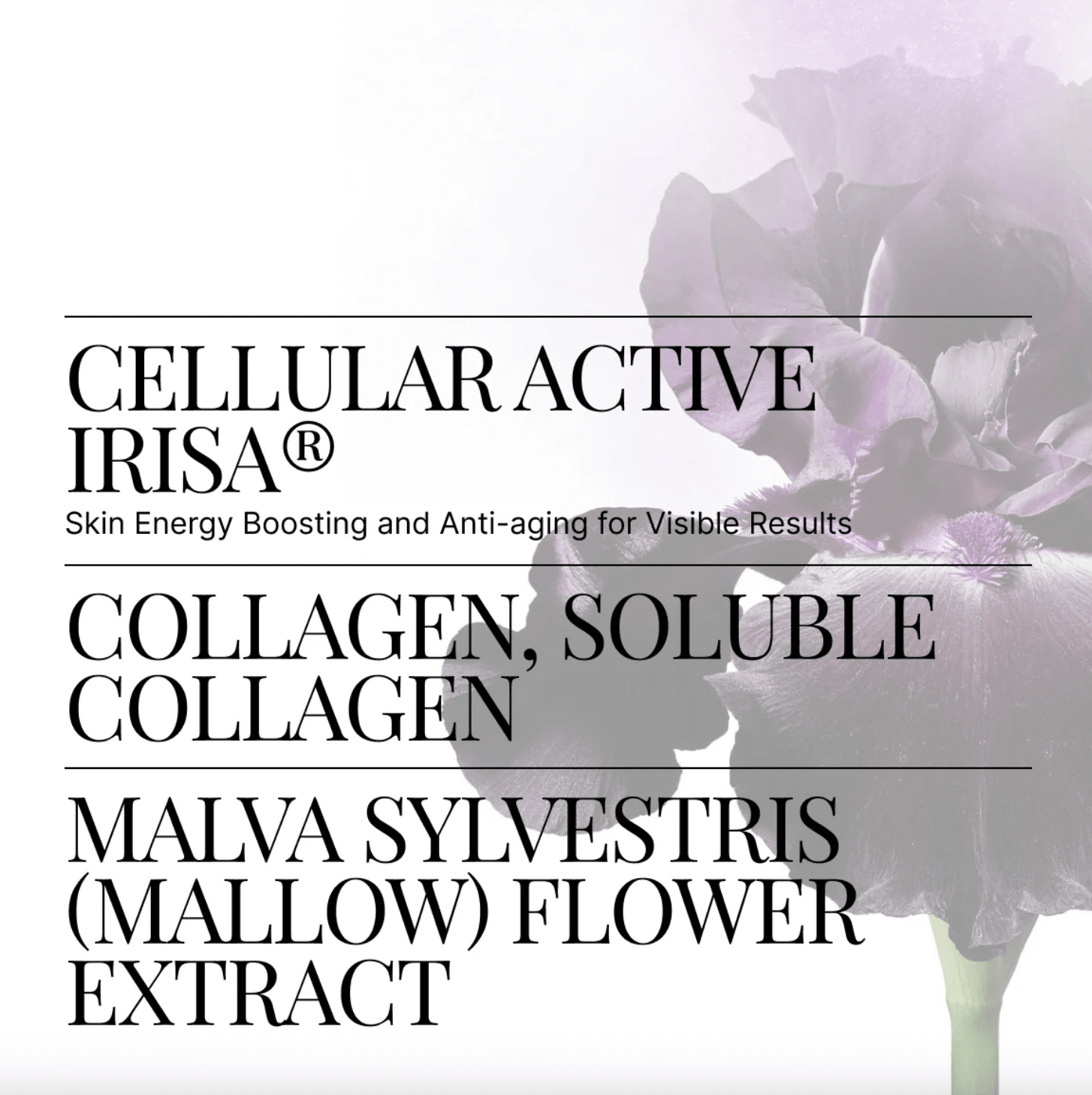 RS-28 Cellular Rejuvenation Secret Mask – Joanna Czech