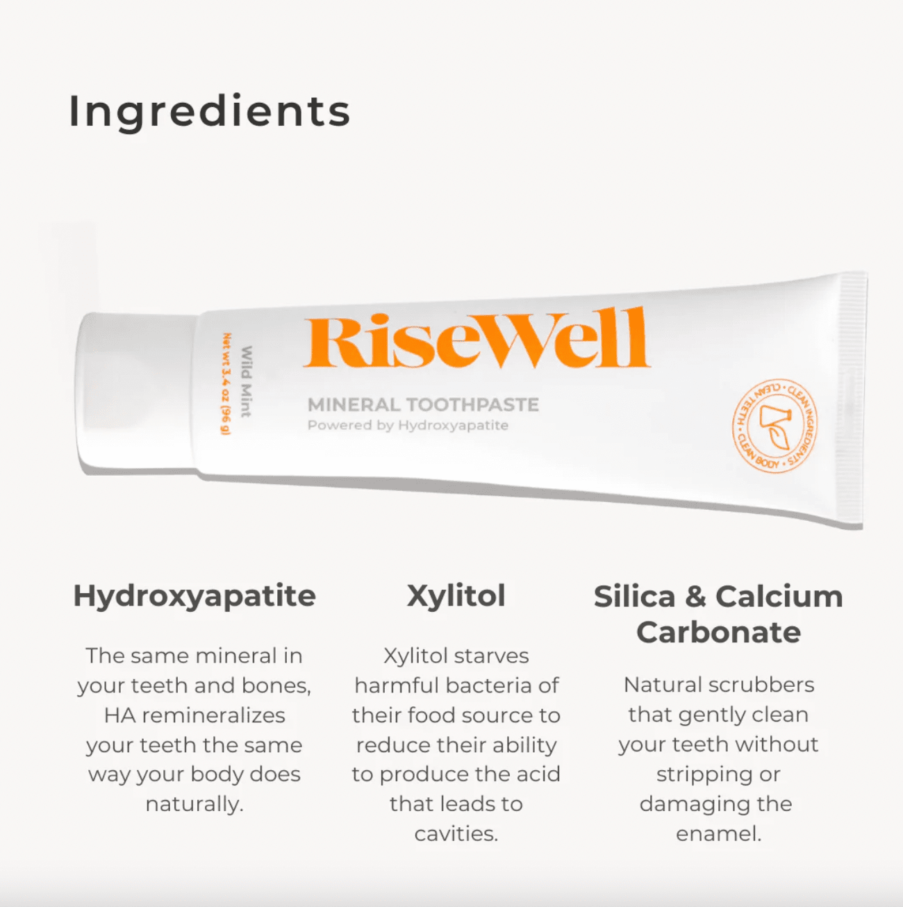 Mineral Toothpaste Body Care RiseWell 