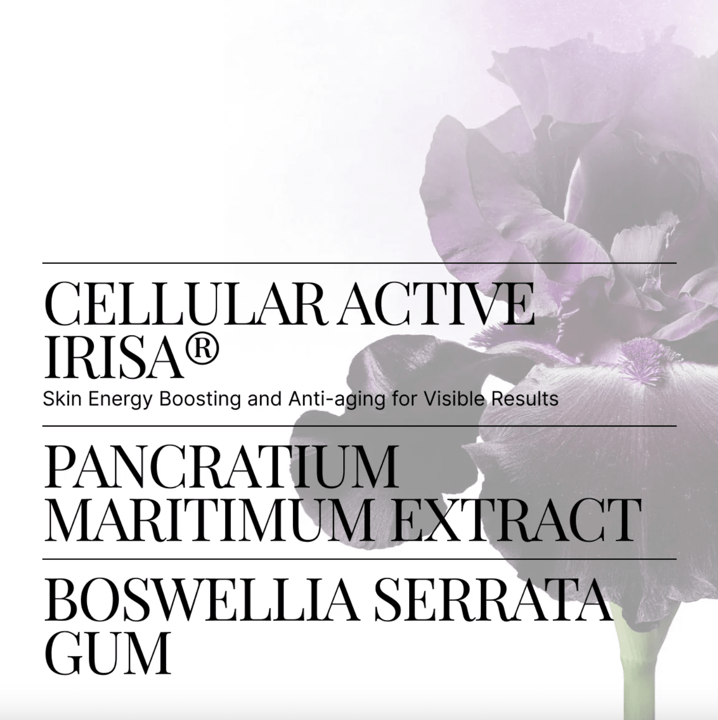 Body Recovery Cream Swiss Perfection 